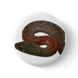 Red-Necked Keelback Pinback Button
