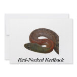 Red-Necked Keelback Custom Announcement