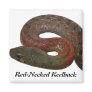Red-Necked Keelback Fridge Magnets