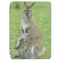 Red-necked Wallaby, Macropus rufogriseus), iPad Air Cover at  Zazzle