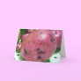 Red Norland potato
