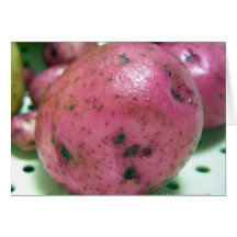 Red Norland potato Greeting Card