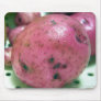 Red Norland potato Mousepad