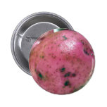Red Norland potato Pins
