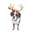 Red Nose Tucker t-shirts