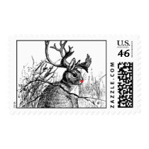 red nosed jackalope postage by trollop_com red nosed jackalope postage