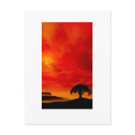 Red oak sunset