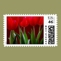 Red On Red postage