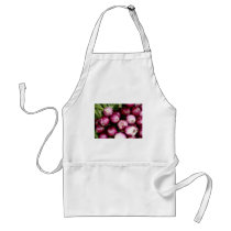 Red Onions aprons