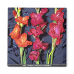 red, orange, scarlet, gladiolus, fancy, flowers,