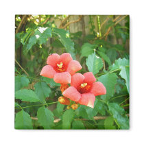 Red-Orange Horn Vine Flower magnets by princessklb07 Red-Orange Horn Vine Flower magnets