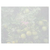 Red Orange tree and flower blossom flowers Letterhead Design