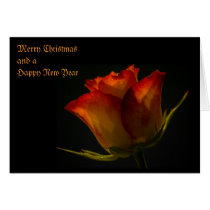 Red Orange & Yellow Rose Christmas Card