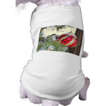 Red Orb Pet Clothing
