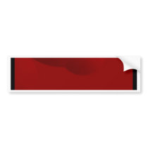 Red Orbit bumper stickers