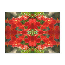 Red Orchid Abstract Postcard