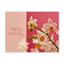 Red Orchid • Birthday Postcard