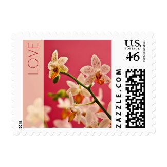 Red Orchid Love Stamp by SabineStGreetings