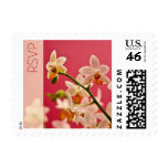 Red Orchid • RSVP Stamp