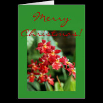 Red Orchids cards