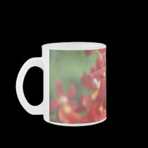 Red Orchids mugs