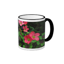 Red Oxalis ~ mug