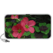 Red Oxalis ~ speaker
