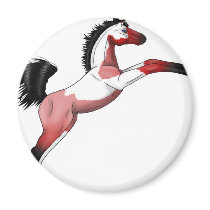 Red Paint Sadllebred Filly rearing Fridge Magnet