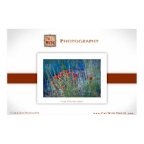 "Red Paintbrushes" poster posters