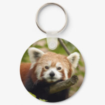 red-panda-004 keychains by NatureByDesign red-panda-004 keychains