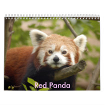 red-panda-005, Red Panda calendars
