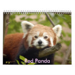 red-panda-005, Red Panda calendars