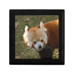 red-panda-015 trinket box