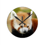 red-panda-030 wall clock