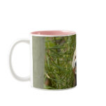 red-panda-033 coffee mug