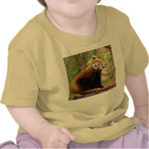 Red Panda-035 T-shirt