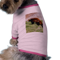 Red Panda-043 pet clothing by NatureByDesign Red Panda-043 pet clothing