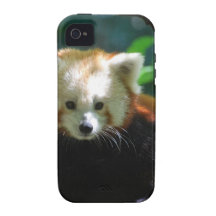 red-panda-11.jpg iPhone 4/4S case