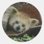Red Panda at the National Zoo, Red Panda Sticker