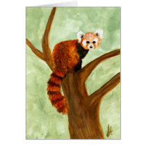 Red Panda Card by Stuwahacreations Red Panda Card
