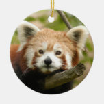Red Panda Christmas Ornament
