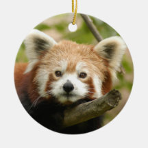 Red Panda Christmas Ornament