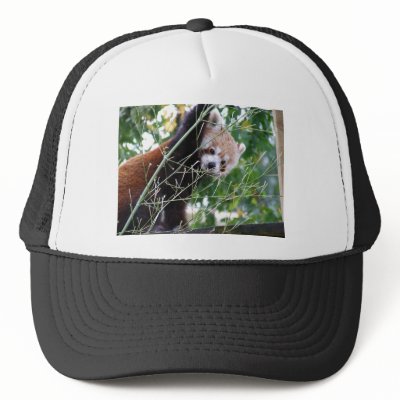 Red Panda Hat