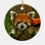 Red Panda Holiday Christmas Ornament