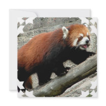Red Panda Invitation