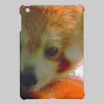 RED PANDA ipad mini cases