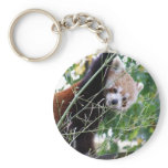 Red Panda Key Chains