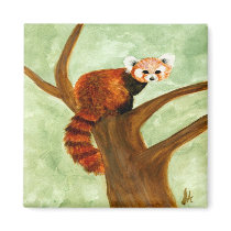 Red Panda Magnet by Stuwahacreations Red Panda Magnet
