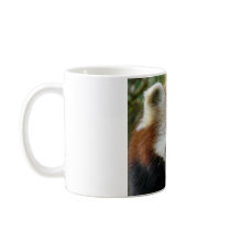 Red Panda Coffee Mugs
