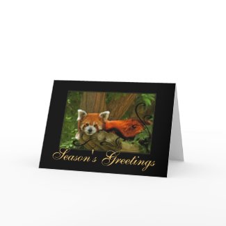 Red Panda Nature Seasons Greetings Holiday Card card